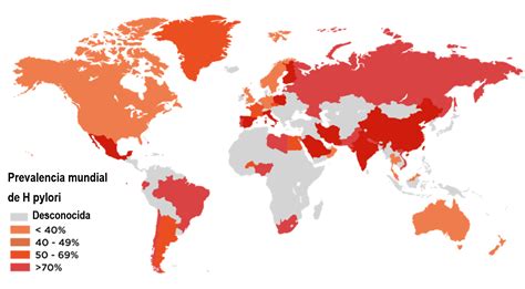 Mapa mundial o infografía mostrando la prevalencia de la discapacidad por regiones