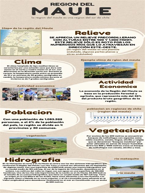 Infografía: Comparativa del porcentaje de adultos mayores en la Región del Maule y el promedio nacional