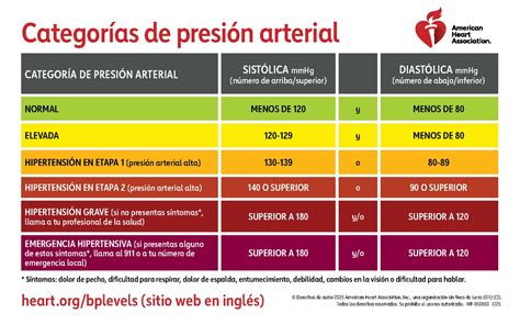 Gráfico explicativo de las categorías de presión arterial y sus rangos