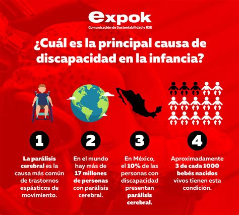 Infografía: Causas de discapacidad a nivel global