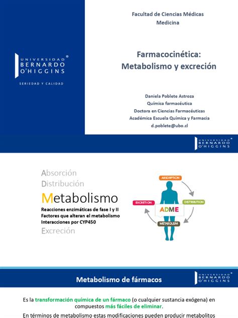 Infografía ilustrando los cambios farmacocinéticos (absorción, distribución, metabolismo, excreción) en el cuerpo de un adulto mayor