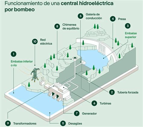Esquema: Funcionamiento del Fondo Central de Previsión de Singapur