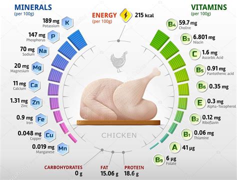 Infografía sobre los nutrientes clave del pollo