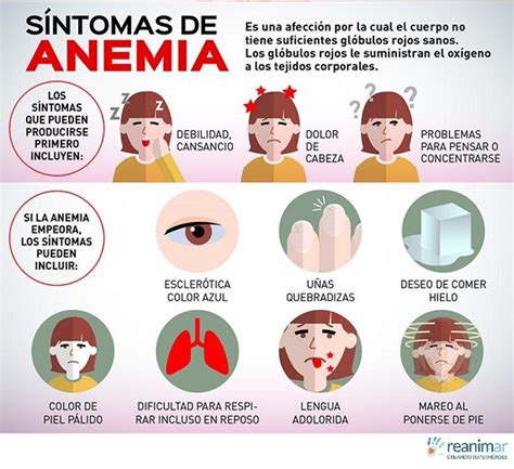Gráfico: Impacto de la anemia en la función cognitiva