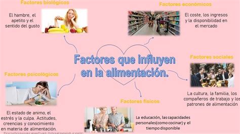 Esquema de los factores que influyen en la nutrición del adulto mayor