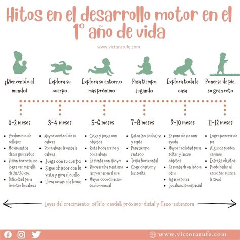 Esquema de desarrollo motor infantil