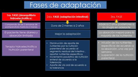 Infografía sobre las fases de adaptación y puntos críticos de observación para enfermería