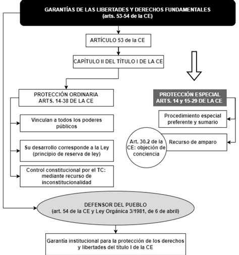 Esquema de las garantías en la contratación de servicios de cuidado de mascotas