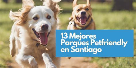 Mapa de parques pet-friendly en Santiago, Chile