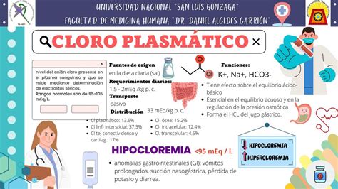 Gráfico o infografía sobre las principales causas de hipocloremia en personas mayores