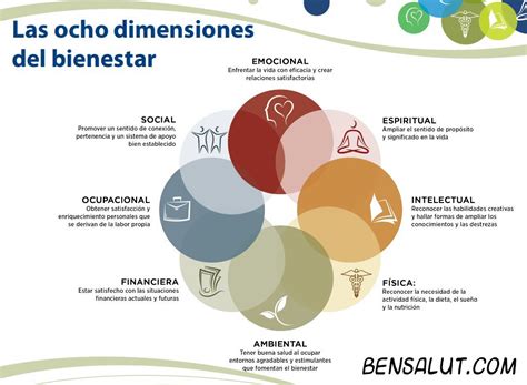 Diagrama de las dimensiones del bienestar en adultos mayores institucionalizados (física, social, emocional, espiritual, recreativa)