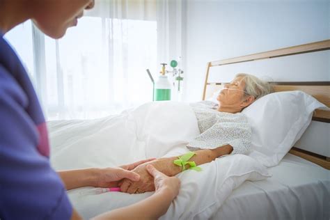 Infografía: Categorías del cuidado de enfermería al adulto mayor hospitalizado