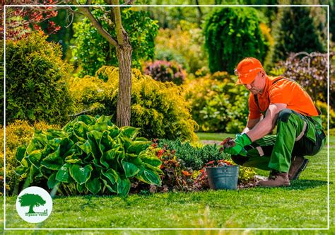 Cuidador de parcela realizando labores de jardinería y mantenimiento