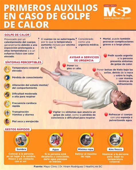 infografía comparativa de la respuesta al calor en jóvenes y adultos mayores