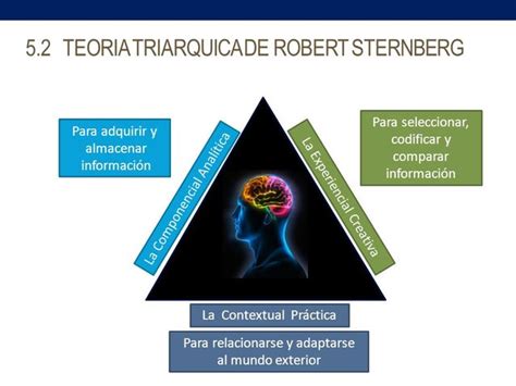 Infografía explicativa del modelo triárquico del amor de Sternberg