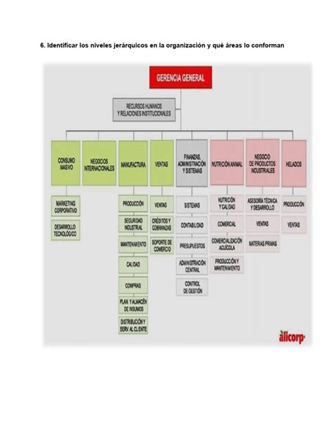 Diagrama de niveles jerárquicos de causas de enfermedad según la OMS