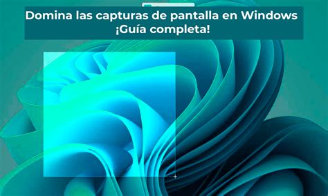 Capturas de pantalla de la sección 