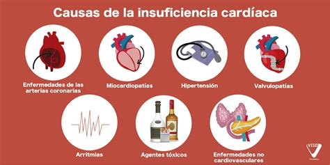 Esquema de las causas y consecuencias de la insuficiencia cardíaca