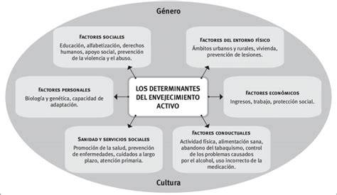 Gráfico: Determinantes del envejecimiento activo