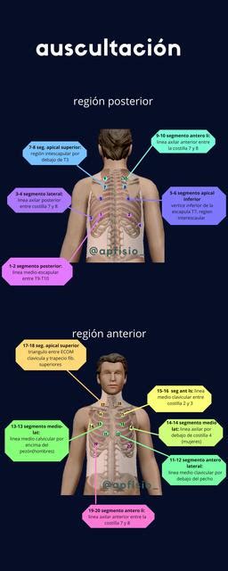 Diagrama de puntos de auscultación en el tórax (posterior y anterior)