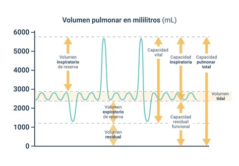 Gráfico o esquema de resultados de espirometría