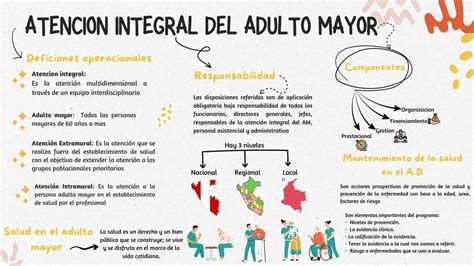 Esquema de las necesidades de atención médica del adulto mayor