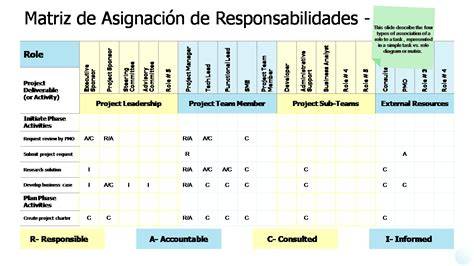 Gráfico de niveles y responsabilidades de cuidadores