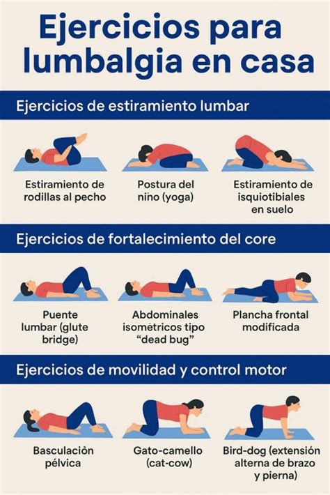 Serie de ejercicios de estiramiento y fortalecimiento lumbar para adultos