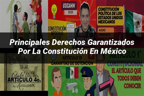 Infografía detallando los principales derechos garantizados por la Convención.