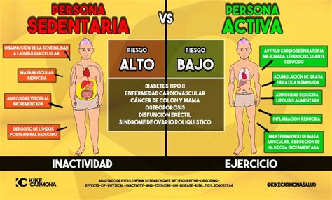 Infografía comparando una persona activa y una sedentaria