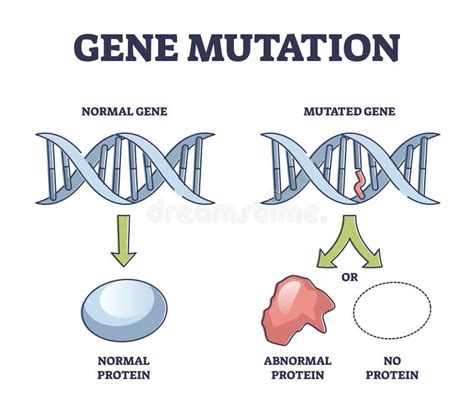 Esquema de la mutación del gen LMNA y la producción de progerina