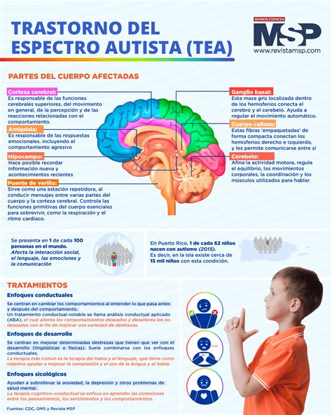Infografía: Señales tempranas del espectro autista, hitos del desarrollo y opciones de intervención