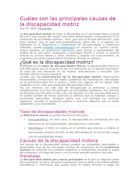 Infografía sobre las causas de la discapacidad motora (prenatales, perinatales, postnatales)