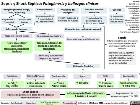 Esquema de las etapas de la sepsis: infección, sepsis, sepsis grave, choque séptico, con sus respectivos síntomas y tratamientos