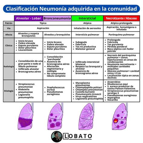 Esquema visual que muestra los diferentes tipos de neumonía (unilateral, bilateral, bronconeumonía) y las zonas del pulmón afectadas