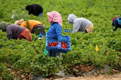 Mujeres migrantes trabajando en un puesto de mercado en Chile