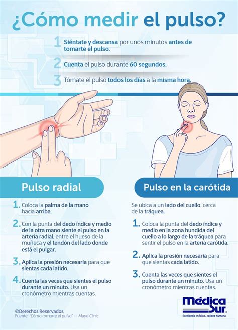 Fotografía o esquema detallado mostrando cómo medir el pulso en la muñeca