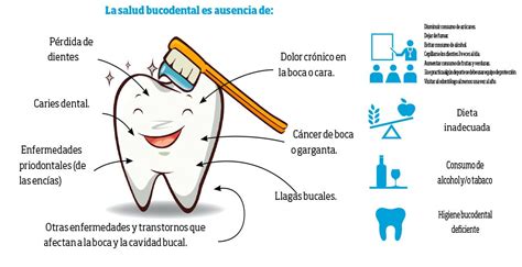 Esquema de las conexiones entre la salud bucal y los órganos vitales en perros