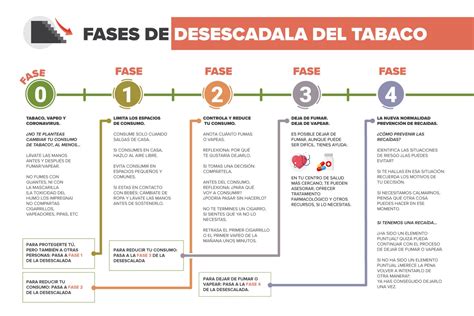 Diagrama que ilustra las diferentes fases del proceso de dejar de fumar.