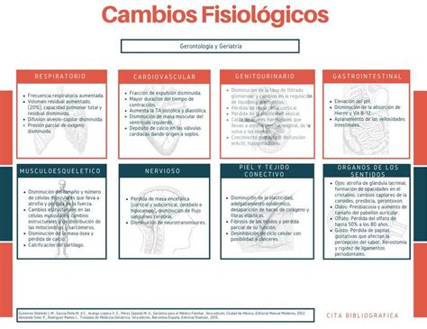 Infografía sobre los cambios fisiológicos del sueño con la edad