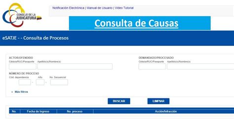 Esquema de un portal de consulta de causas judiciales o deudas de pensión alimenticia