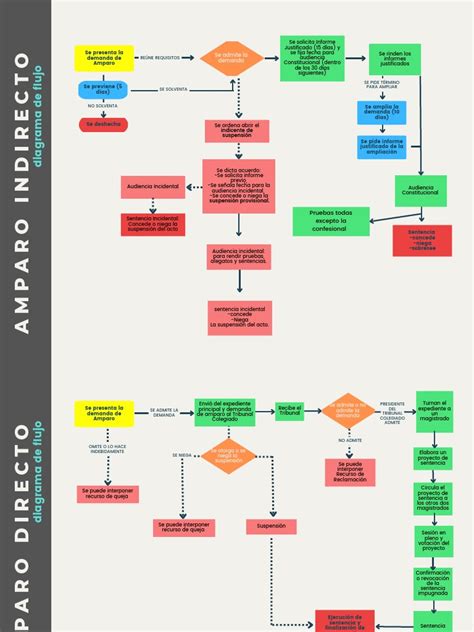 Infografía que explique el proceso legal de un amparo de salud.