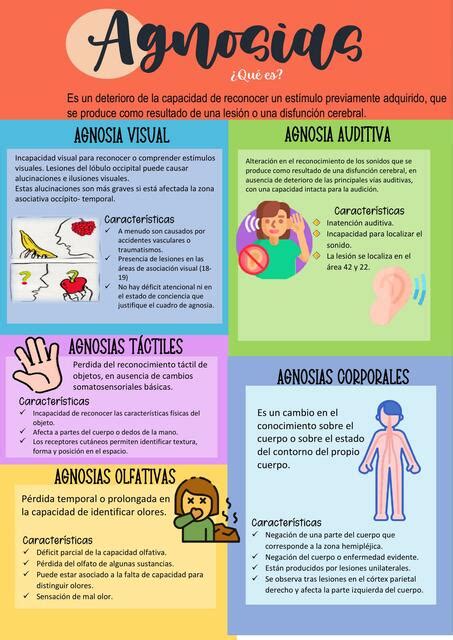 Infografía detallando los diferentes subtipos de agnosias visuales y las regiones cerebrales afectadas.