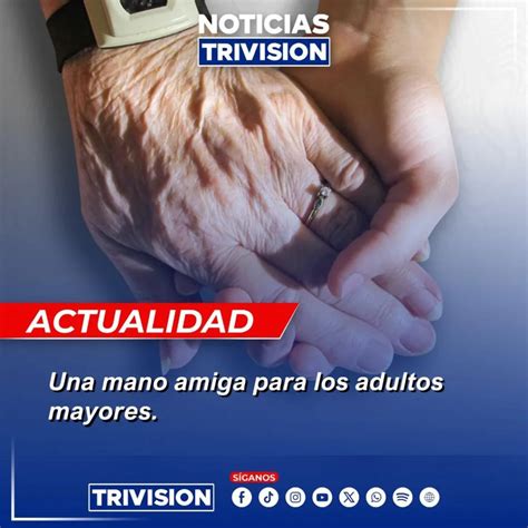 Esquema de la estructura de apoyo a adultos mayores en Providencia