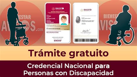 Ilustración de una persona sosteniendo una credencial de discapacidad