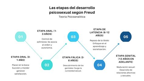Esquema de las fases psicosexuales de Freud