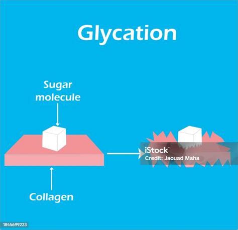 diagrama del efecto de la glicación en el colágeno