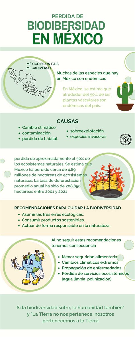 Infografía sobre la pérdida de estatura en adultos mayores con el tiempo