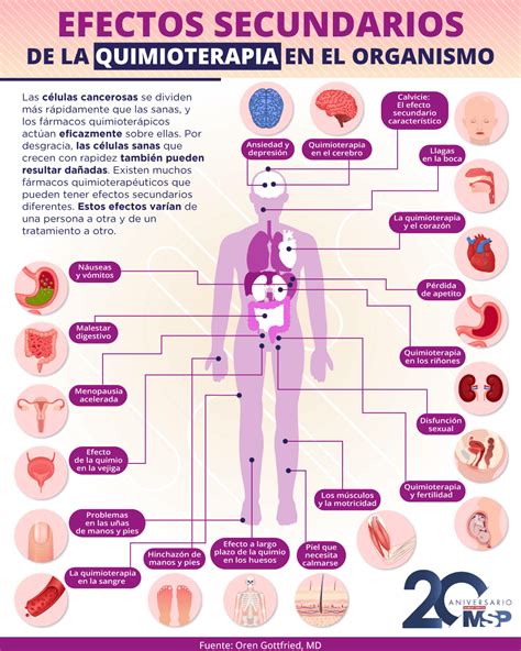 Infografía sobre los tipos de quimioterapia y sus efectos