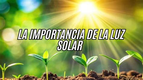 Gráfico que muestra la calidad de la luz solar a diferentes horas del día, destacando la